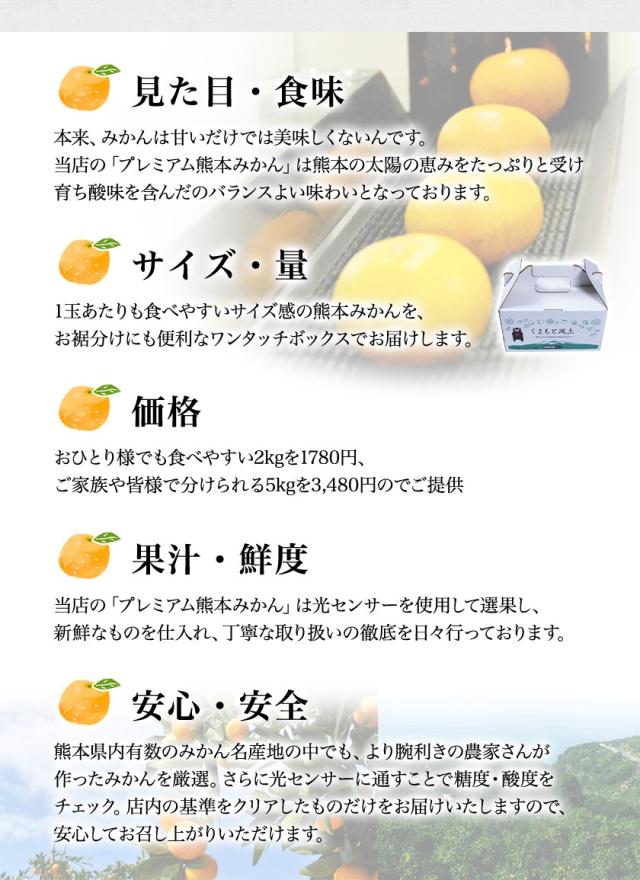 みかん 5kg サイズ 箱 買い 産地直送 柑橘 熊本 【光センサー選果の