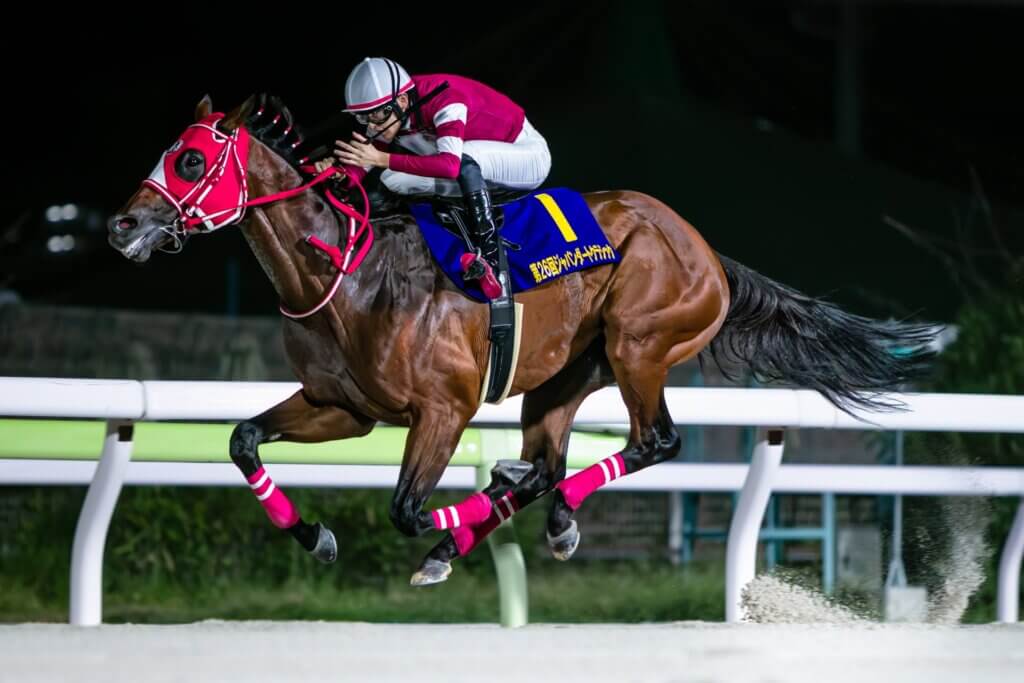 ウマ娘』藤田晋オーナーの凱旋門賞とBCを巻き込んだ