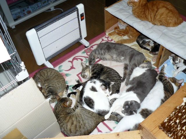 遠赤外線ヒーター サンラメラ の総発売元