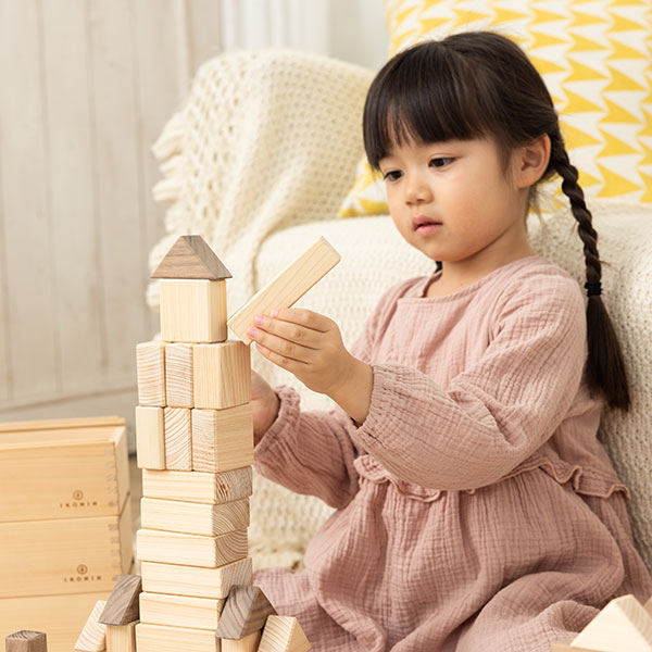アイコニー デラックス積み木 (IKONIH BUILDING BLOCKS DELUXE)｜アイ