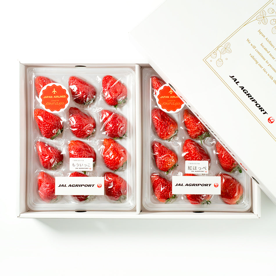 JAL First Class Strawberries – ikigaifruits.com