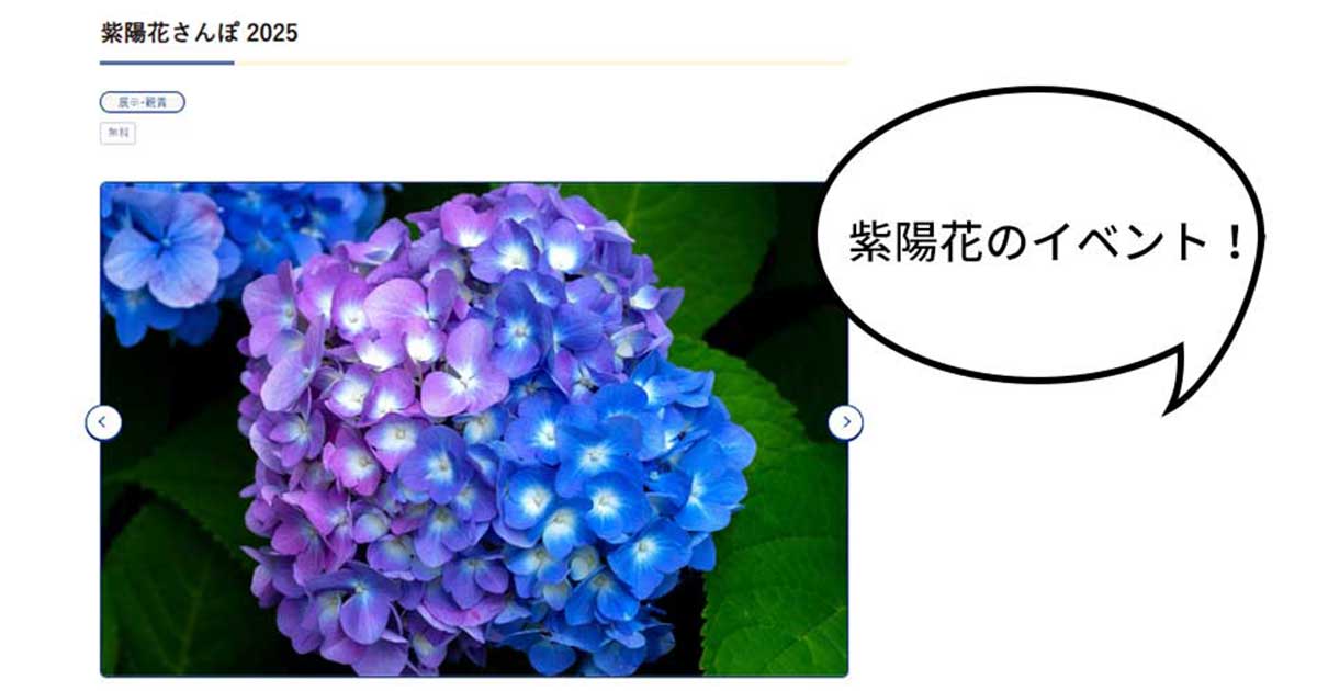 アジサイ傘やあじさいソフトが登場！6/7(土)～7/6(日)の期間、国営昭和