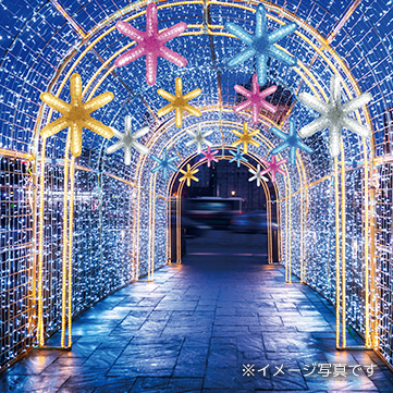 スプレッドグロースノー｜ILLUMINATION STYLE WEB