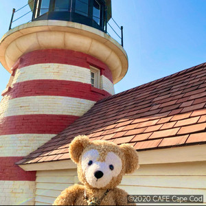 TOKYO Disney sea ケープコッドBGM - playlist by 憂〜ゆぅ