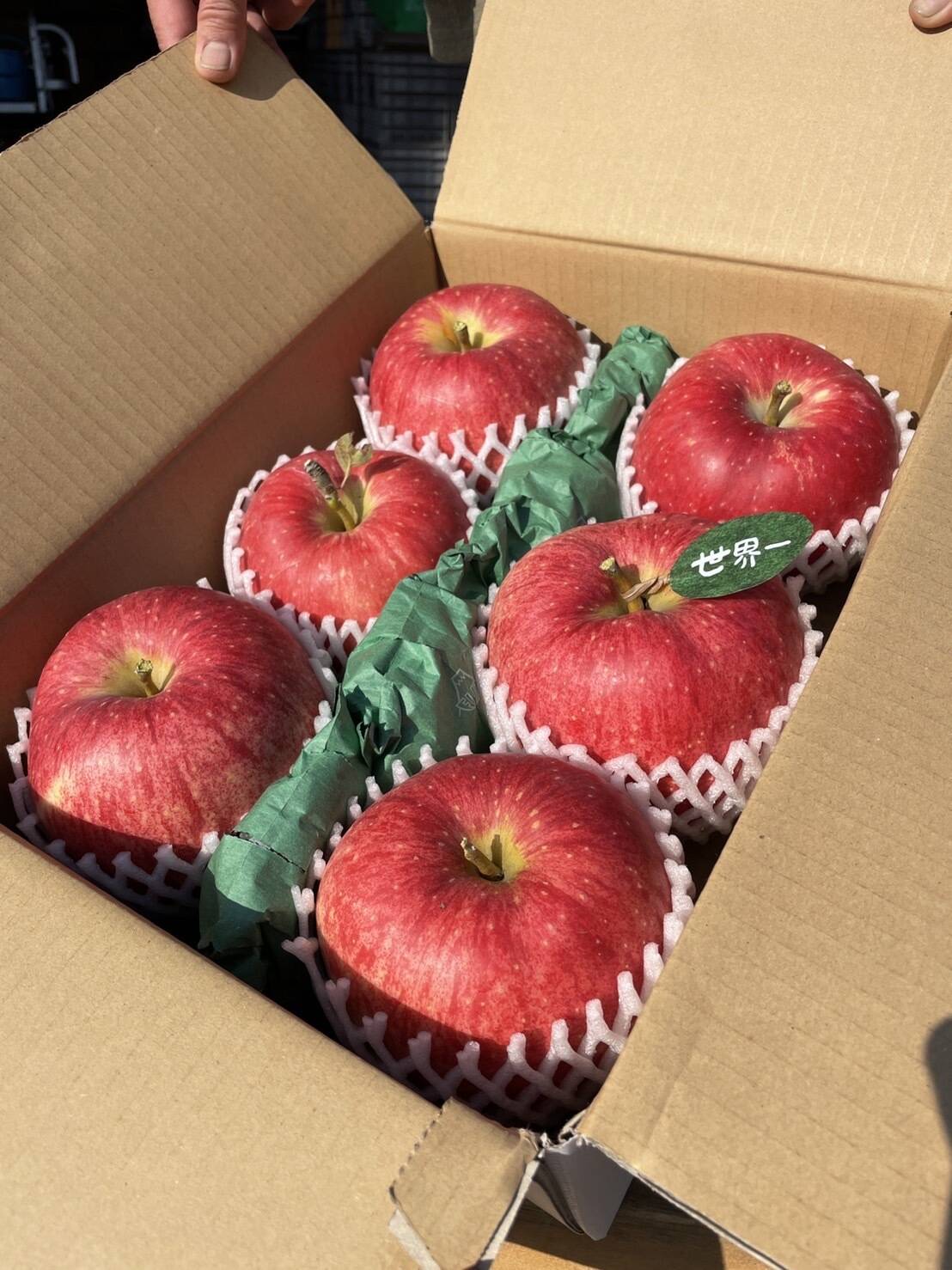 🍎希少品種🍎世界一約3キロ 6～7玉入り 青森りんごID168643：青森県産