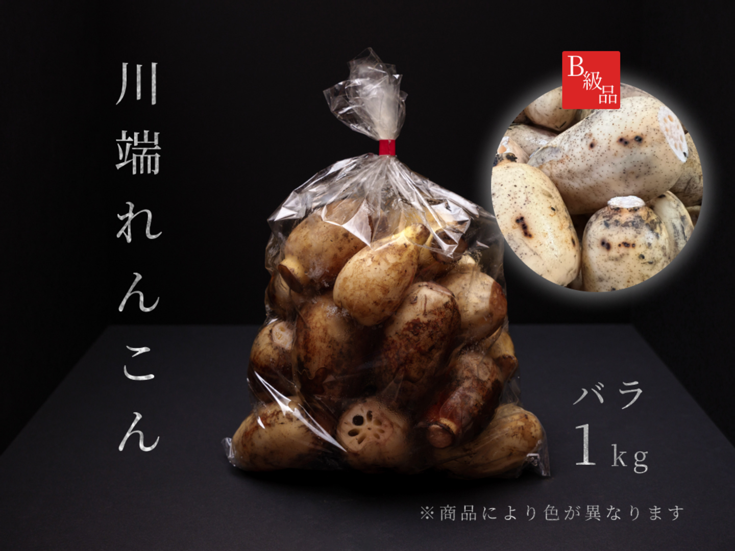 B級品『川端れんこん』1kg袋（加賀れんこん / 蓮根 / レンコン / 加賀