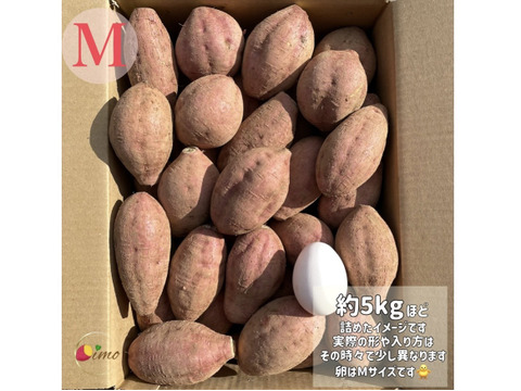 種子島産 安納芋 Mサイズ 3kg｜甘くて濃厚🍠｜aimo農園直送：鹿児島県