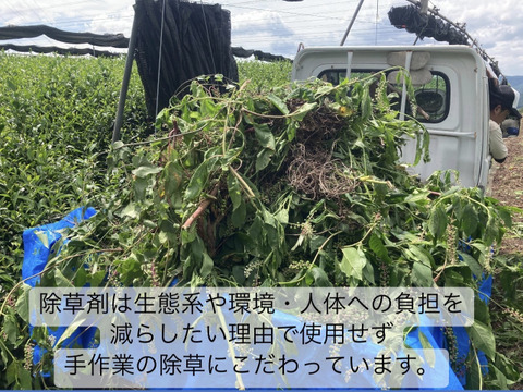 便利な個包装スティック】溶かすだけ簡単パウダータイプ 華やかな香り