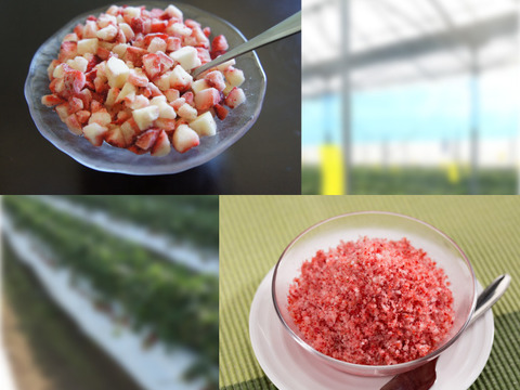 ☆お試しセット☆「ぷち苺」「さら苺」500gそれぞれ1袋ずつ（計1kg