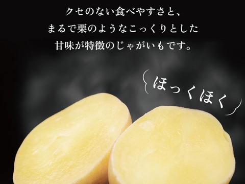 予約開始！！【長崎県産じゃがいも】希少品種！『ながさき黄金』10kg