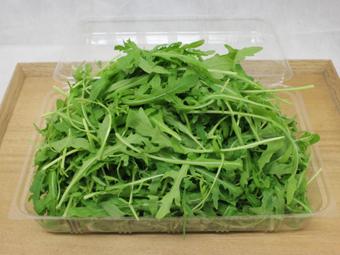 風味豊か！有機ルッコラセルバチカ 【2パック・200g】：茨城県産の