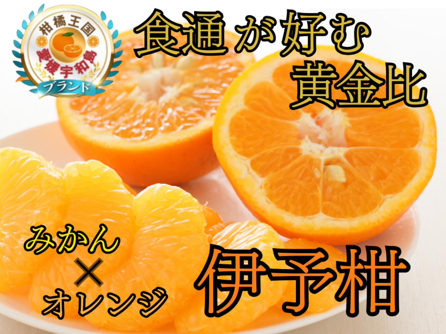 和の高級シトラス】甘み×酸味の黄金比率が生み出す期間限定柑橘『伊予