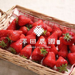 澤田農園 いちご狩り(半田市) | いちご狩り特集2026 - ウォーカープラス
