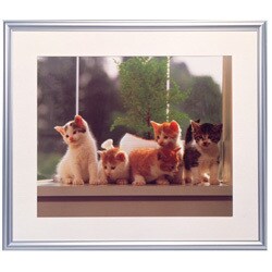 ヨドバシ.com - フジカラー FUJICOLOR アルミ額縁 A13 全紙 アルミ