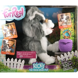 ヨドバシ.com - Hasbro ハズブロージャパン ファーリアル E0384