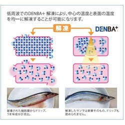 ヨドバシ.com - DENBA DENBA-FreshPro 業務用 冷蔵庫用鮮度保持装置
