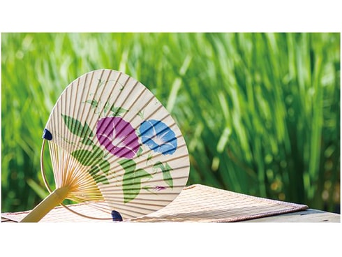 ヨドバシ.com - 日立 HITACHI ハイポジション扇 DCモーター HEF-DL300C