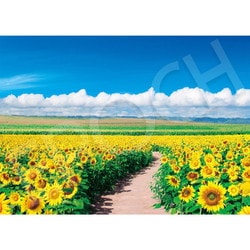 ヨドバシ.com - エポック社 EPOCH 06-301s 日本風景 青空に輝く