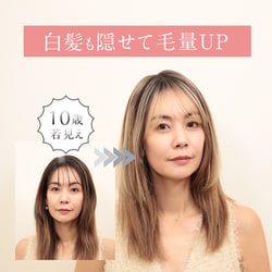 ヨドバシ.com - シートエクステ SHEET EXTE SHEET EXTE ピンクシルバー