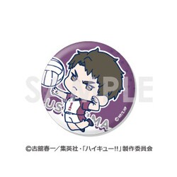 ヨドバシ.com - ソル・インターナショナル ハイキュー！！ わちゃっと