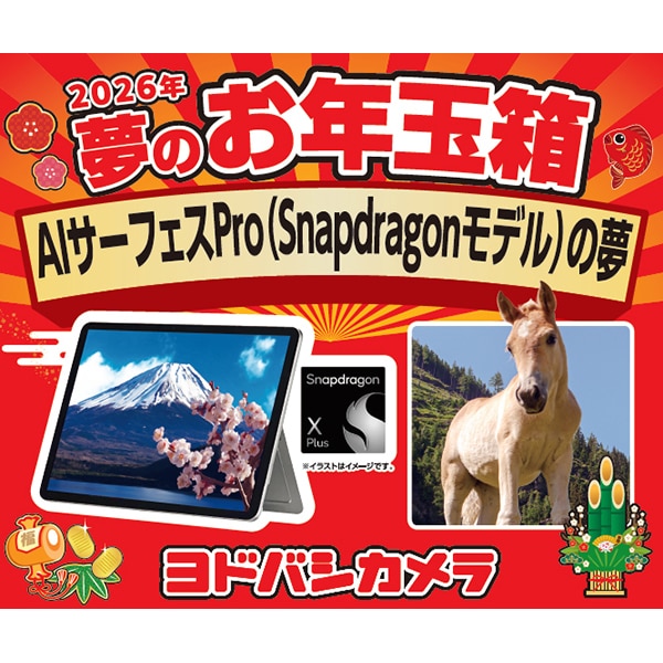 2026】ヨドバシカメラ福袋「夢のお年玉箱」の最終倍率まとめ！最人気は
