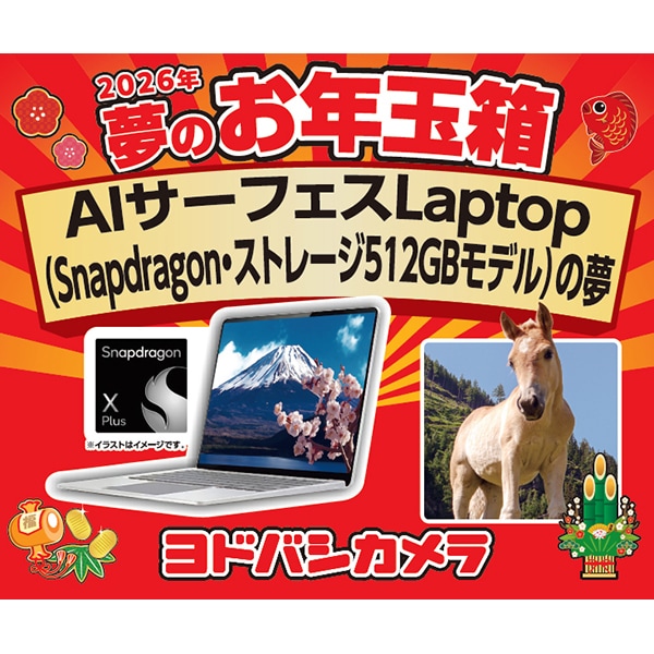 2026】ヨドバシカメラ福袋「夢のお年玉箱」の最終倍率まとめ！最人気は