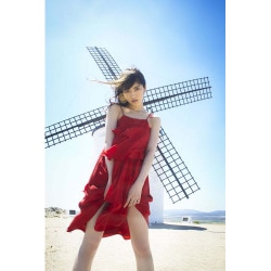 ヨドバシ.com - パレット―若月佑美1st写真集 [単行本] 通販【全品無料