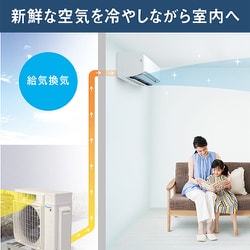 ヨドバシ.com - ダイキン DAIKIN エアコン （29畳・単相200V） うる