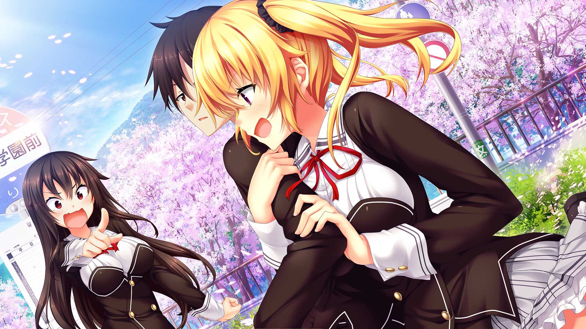 ノラと皇女と野良猫ハート HD