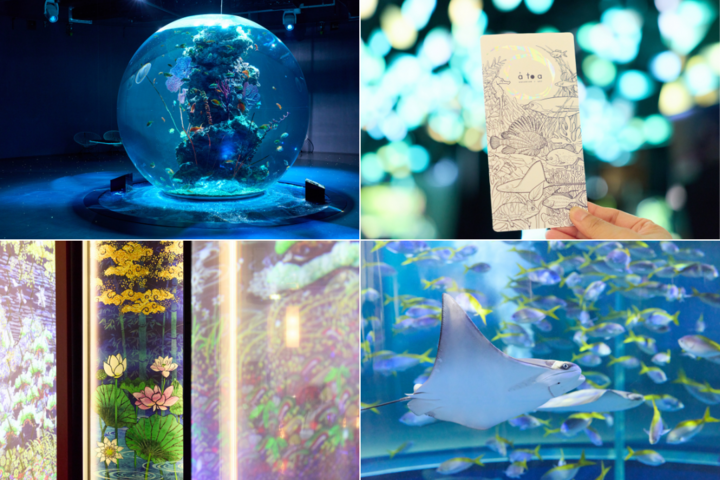 夏の涼を感じる、大人の神戸ひとり旅♪日本最大級の球体水槽がある