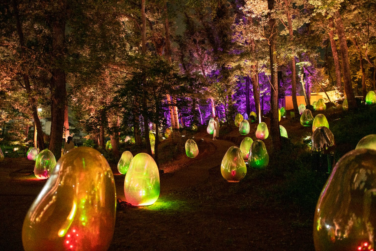 割引チケット・クーポンあり】チームラボ ボタニカルガーデン 大阪