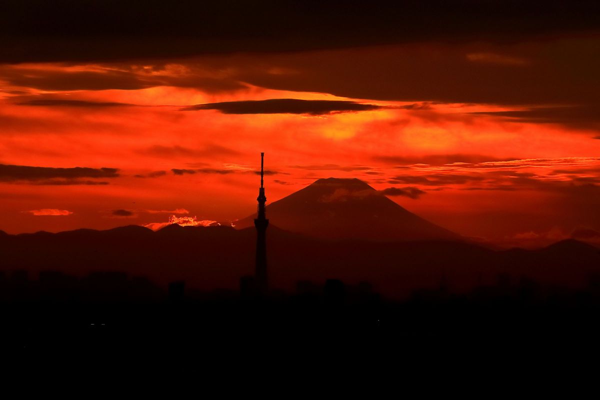 EF-S55-250mm F4-5.6 IS IIで撮影された写真 | 写真検索 | GANREF