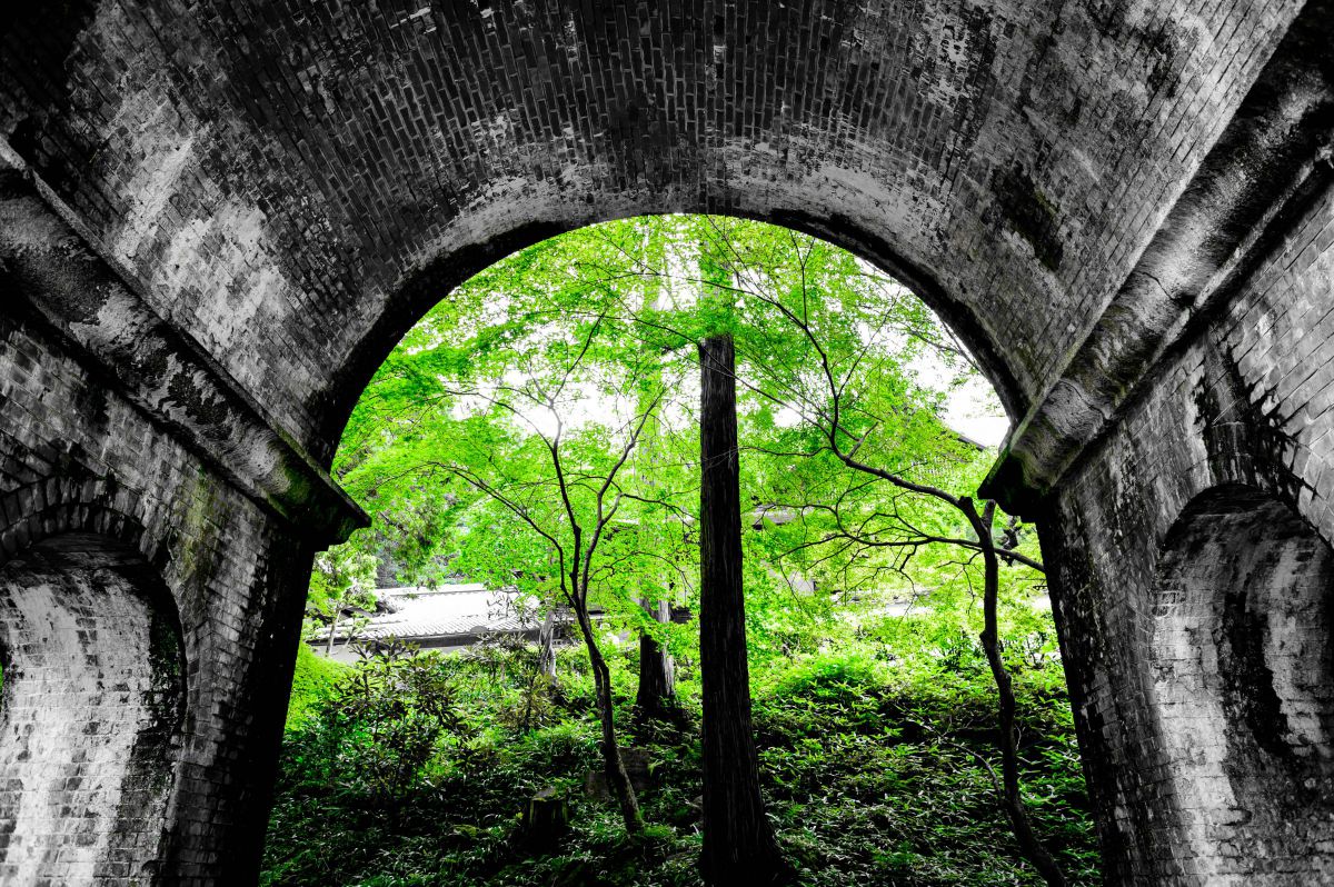 Ai Nikkor 24mm f/2.8Sで撮影された写真 | 写真検索 | GANREF