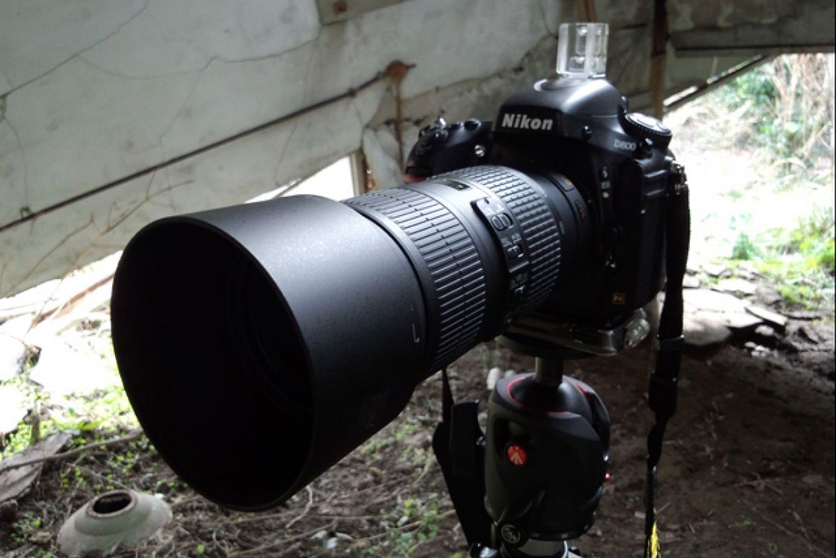 AF-S NIKKOR 70-200mm f/4G ED VR使用レポート | GANREF