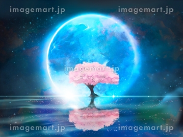 美しい満月と和風金箔すやり霞の雲と夜桜満開桜吹雪が神秘的に舞降る