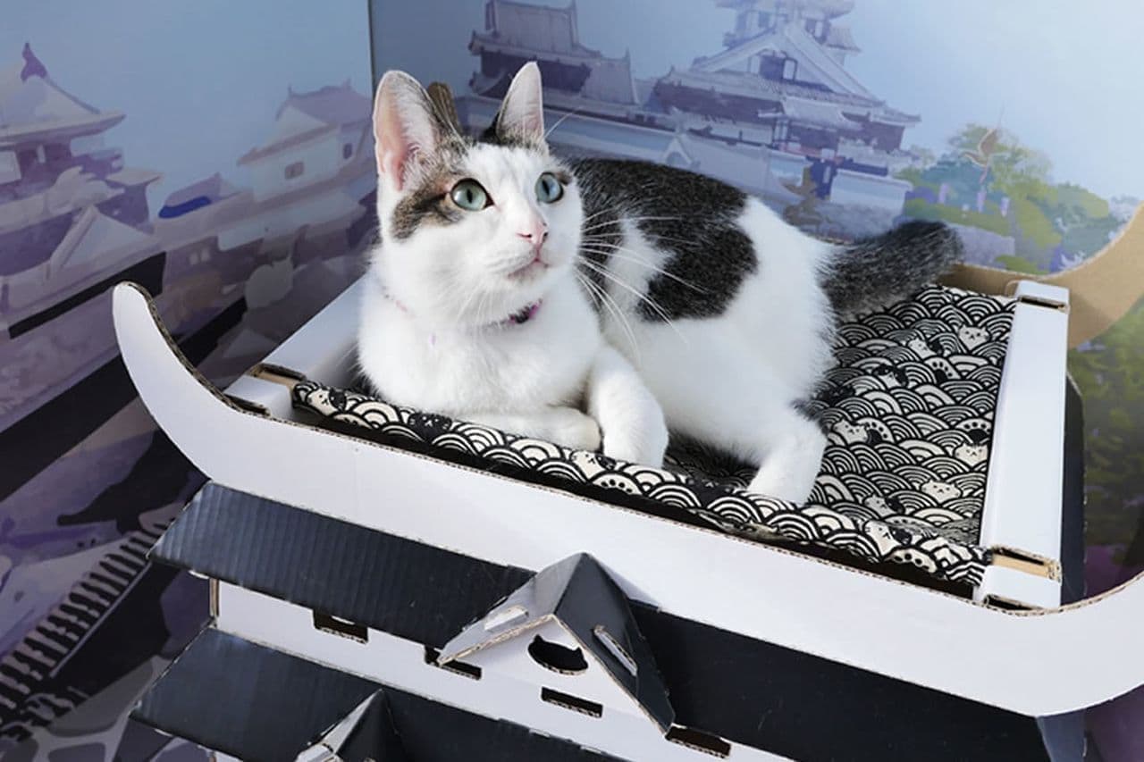 プロフ必読、猫目洞フィギュア本舗ブリーチノイトラ・ジルガ プロフ