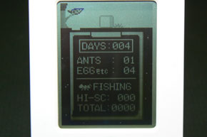 会社で“蟻の巣”を育ててみた――バンダイ「ants life studio」：レビュー