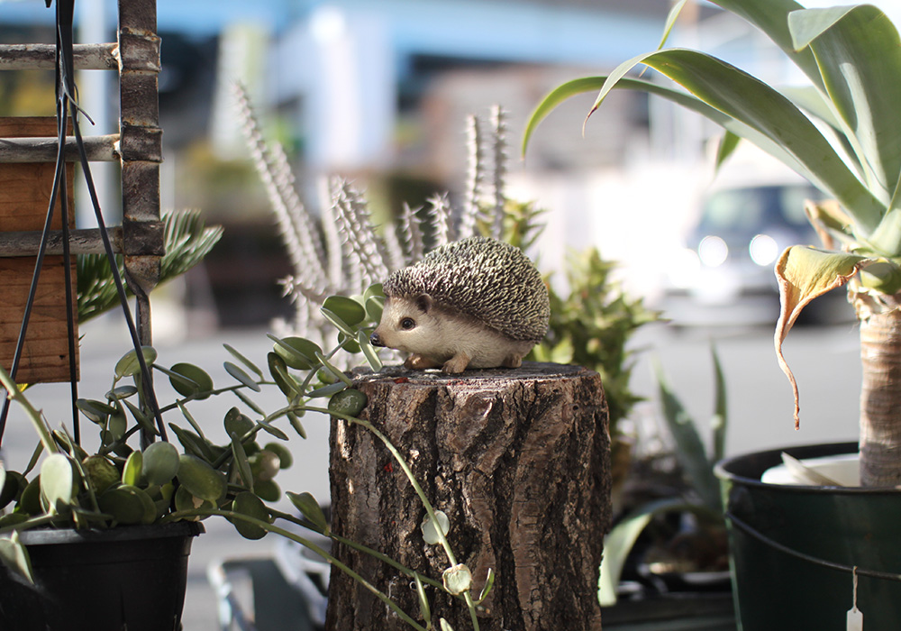 ハリネズミのお役立ち貯金箱 PET BANK HEDGEHOG（ペットバンク ヘッジ