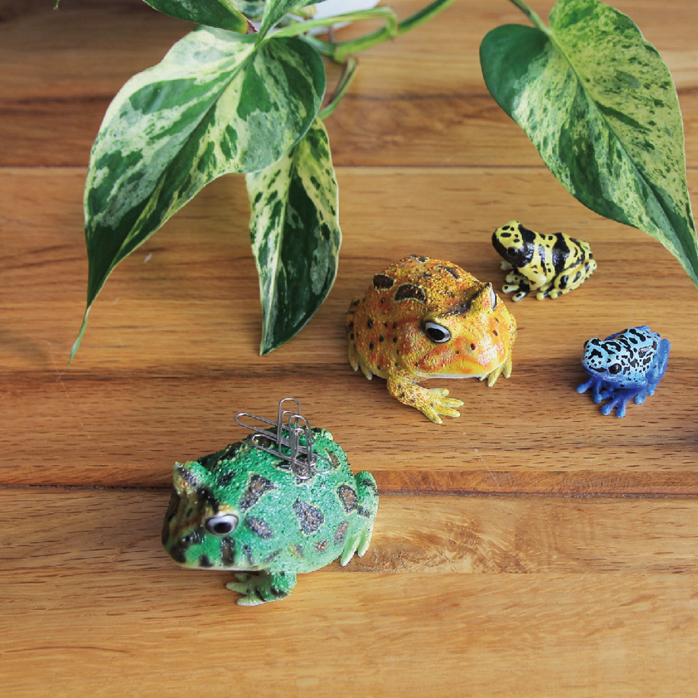 ベルツノガエルのリアルな生きもの造形マグネット REPTILES MAG HORNED