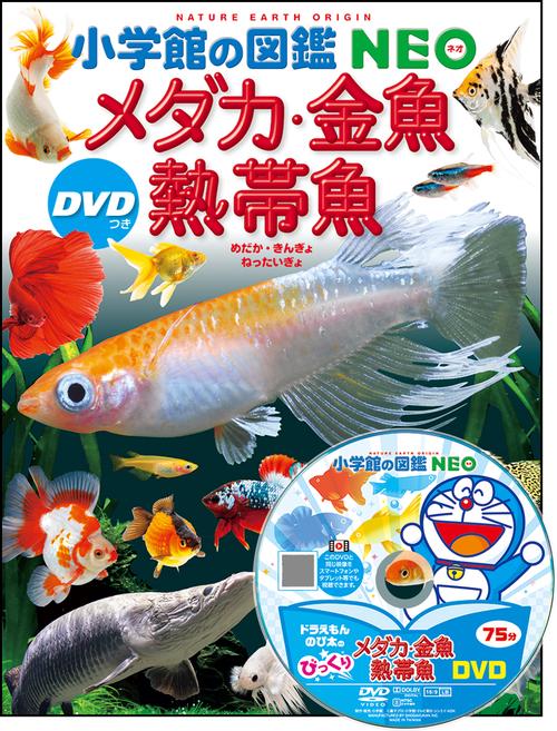 メダカ・金魚・熱帯魚 DVDつき – 丸善ジュンク堂書店ネットストア