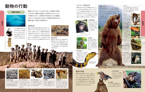 ビジュアル 世界の動物大図鑑 – 丸善ジュンク堂書店ネットストア