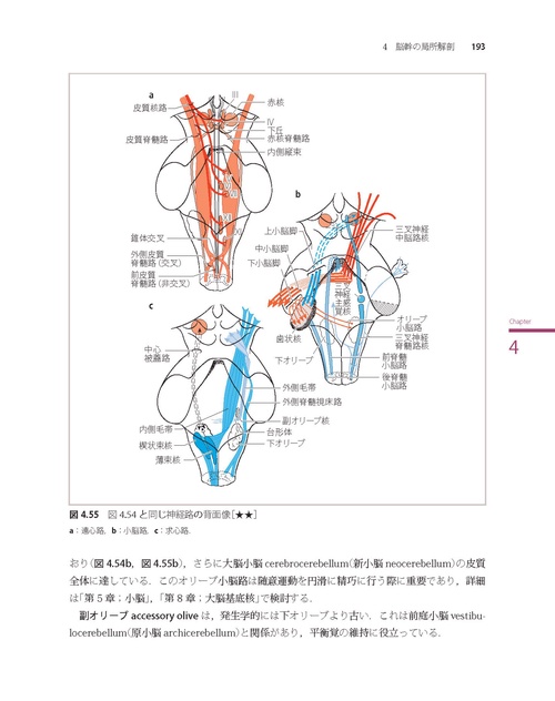 神経局在診断 第7版 その解剖，生理，臨床 – 丸善ジュンク堂書店ネット