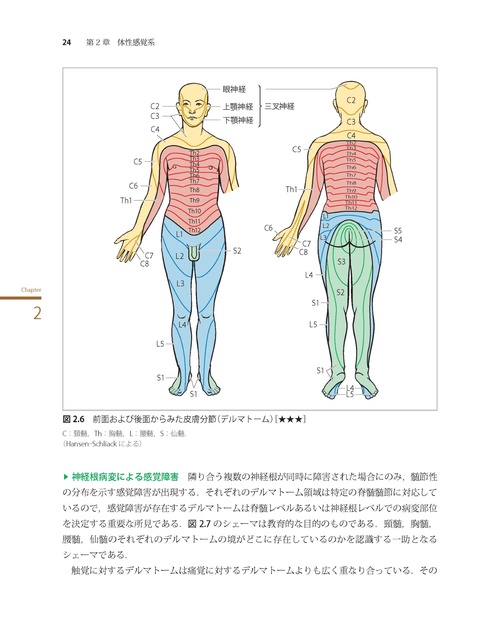 神経局在診断 第7版 その解剖，生理，臨床 – 丸善ジュンク堂書店ネット