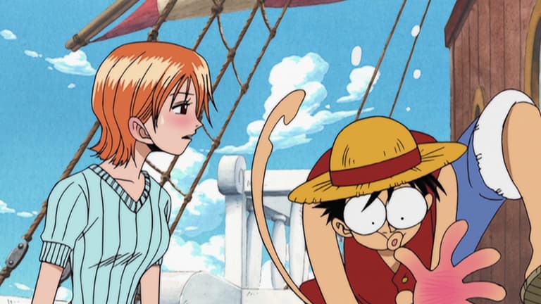 ワンピース - チョッパー登場・冬島編 - 78話 (アニメ) | 無料動画