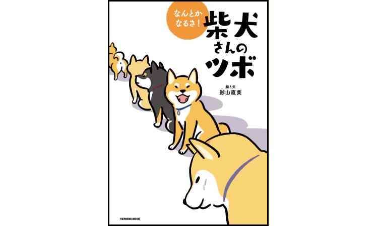 柴犬さんたちの成長がおもしろい！『なんとかなるさ! 柴犬さんのツボ