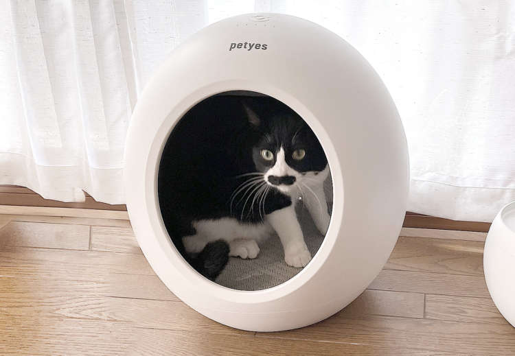 リアル体験レビュー】ペットもゴキゲン♪ 新登場のペット家電「petyes