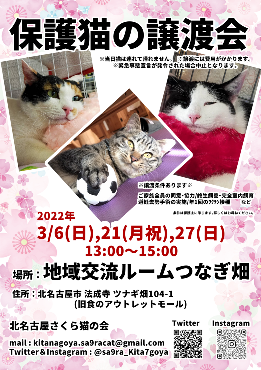 保護猫の譲渡会」（北名古屋さくら猫の会のイベント #14648