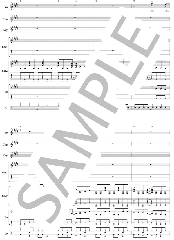 楽譜】マイケル・シェンカー / アームド・アンド・レディ バンド