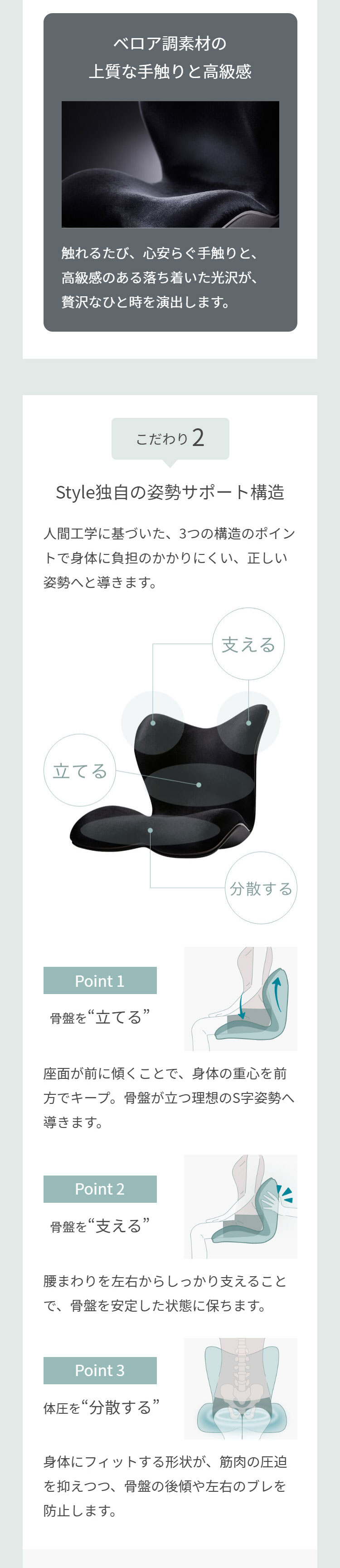 楽天市場】スタイルプレミアム デラックス Style PREMIUM DX ギフト