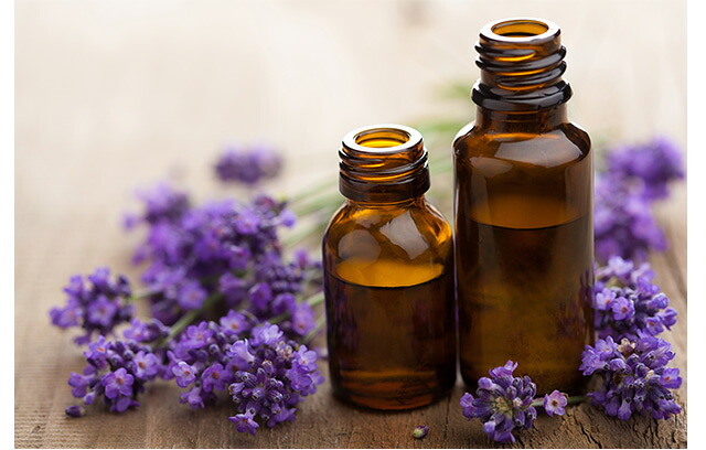 キャリー517様　プラナロム 真正ラベンダー他　合計4点　精油 ラベンダー・フランス産（真正ラベンダー）精油/Lavender France